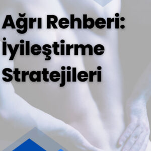 Ağrı Rehberi İyileştirme Stratejileri - Greg Lehman