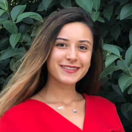 birgül dıngırdan